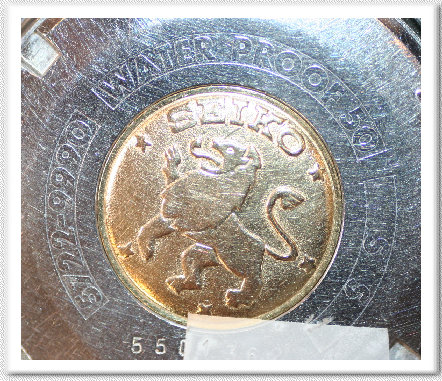 myweb303056003.jpg